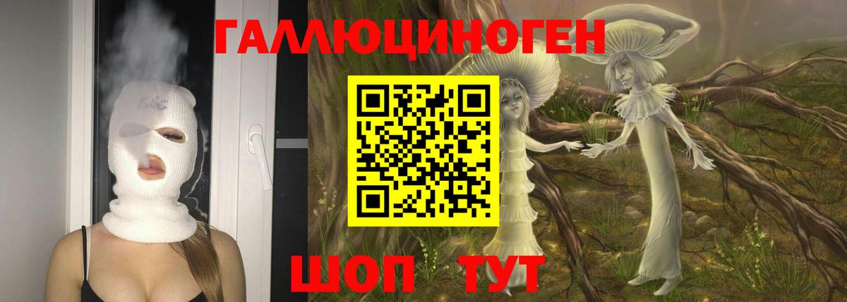 Галлюциногенные грибы MAGIC MUSHROOMS  Вход с VPN  Ногинск 